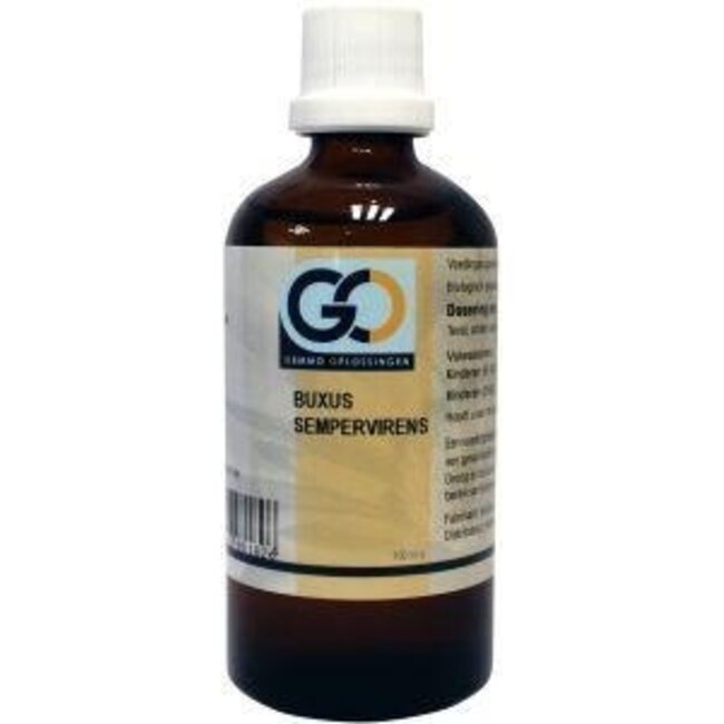 GO Buxus sempervirens 100 ml