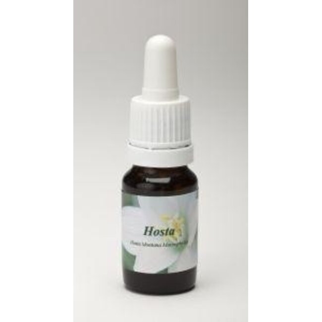 Star Remedies Hosta 10 Millilitri