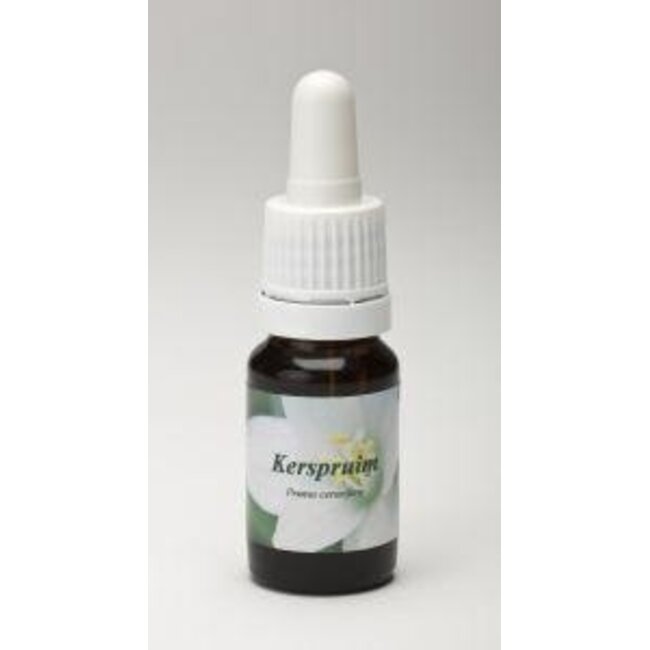 Kirschpflaume 10 Milliliter