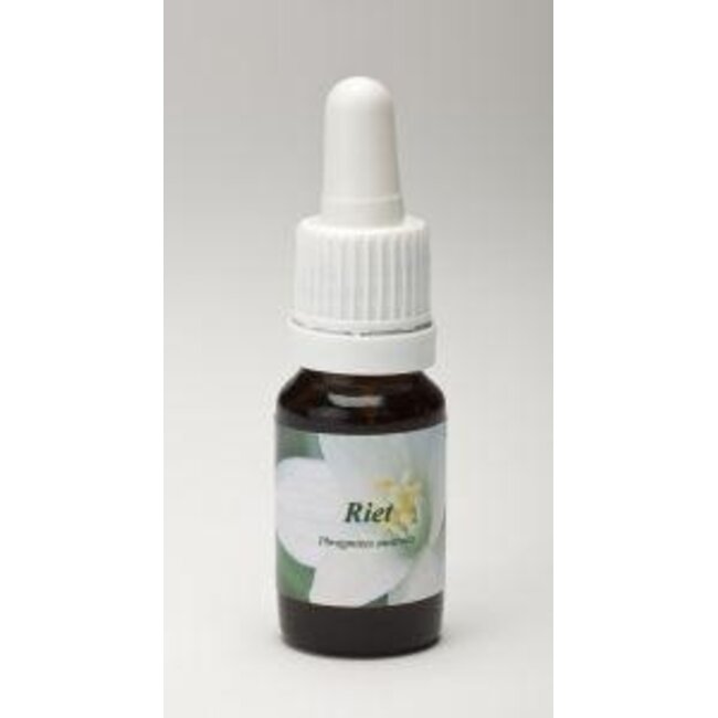 Riet 10 ml