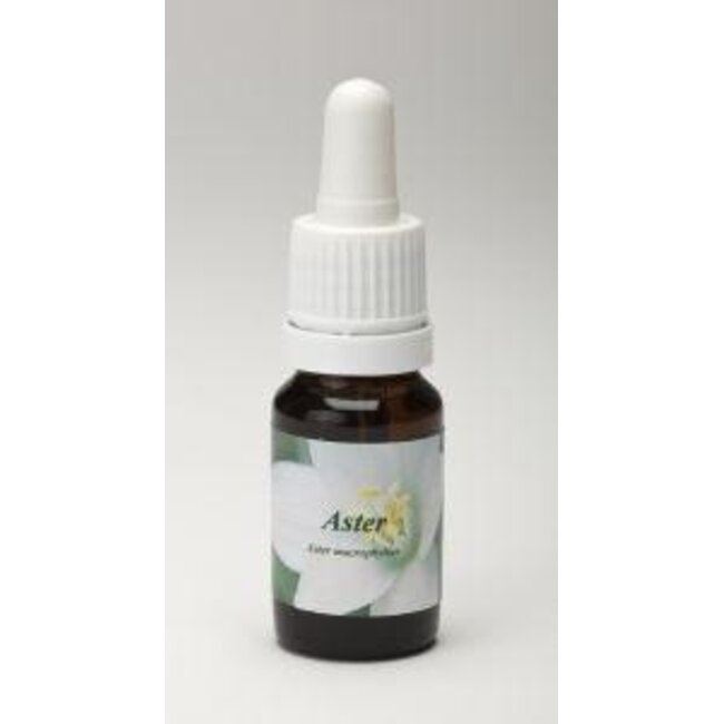 Aster 10 Millilitre
