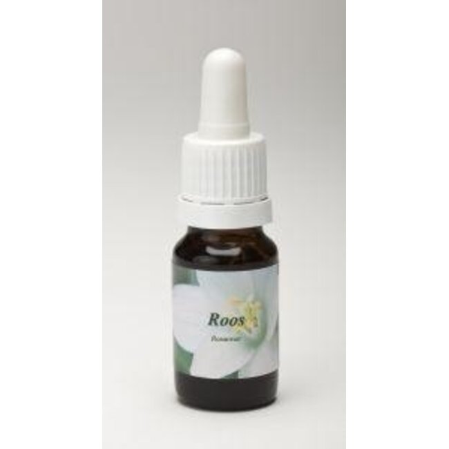 Star Remedies Rosa 10 ml