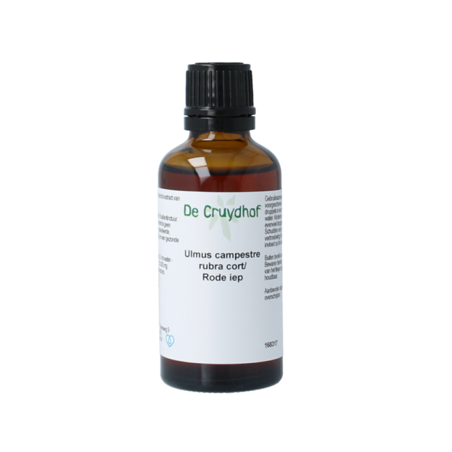 Cruydhof Ulmus campestre rubra / Rote Ulme Tinktur 50 Milliliter