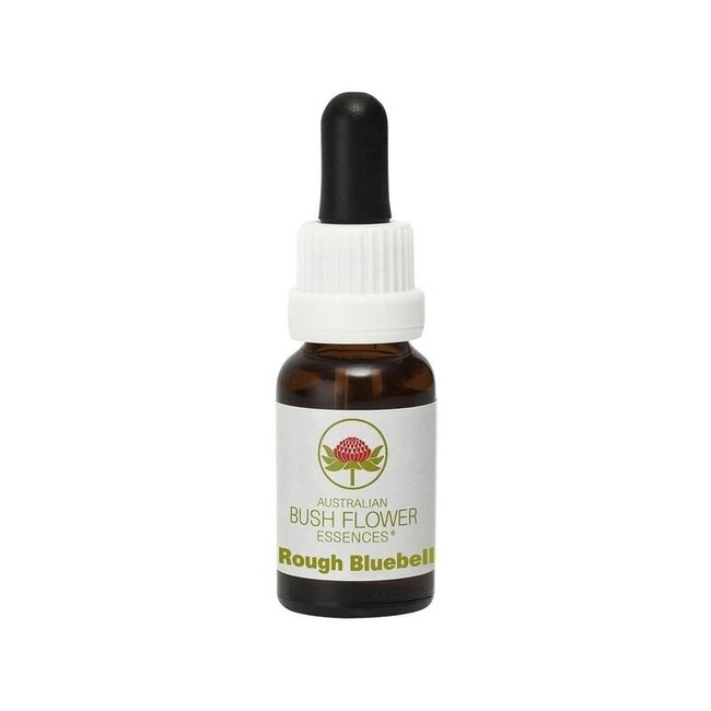 Australian Bush Rough Bluebell 15 Millilitri