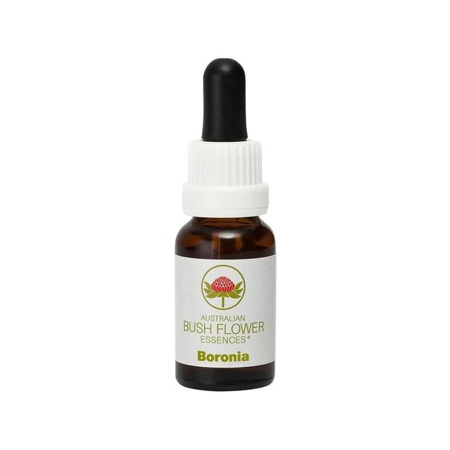 Boronia Australian Bush 15 ml
