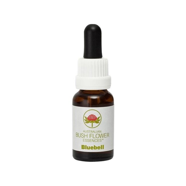 Australische Busch-Glockenblume 15 Milliliter