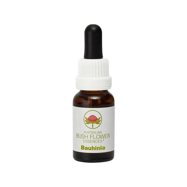 Australian Bush Bauhinia 15 Milliliter
