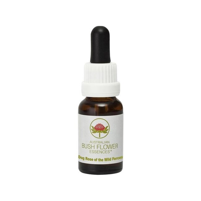 Australian Bush Dog Rose of the Wild Forces 15 ml