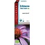 Fytostar Echinacea Tropfen Bio 100 Milliliter