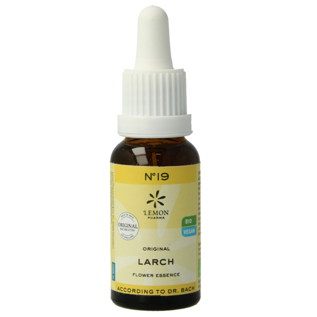 Remedio Floral de Bach Larch (Alerce) Bio 20 Mililitros