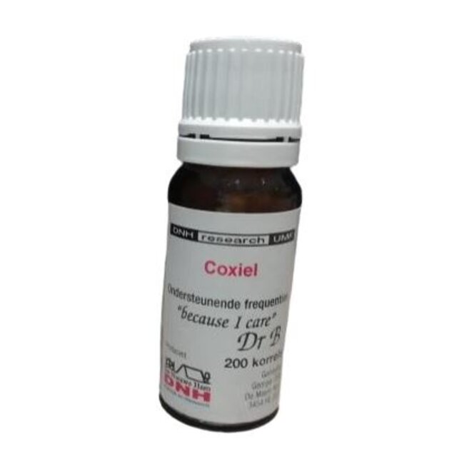 DNH Coxiel 200 Pezzi