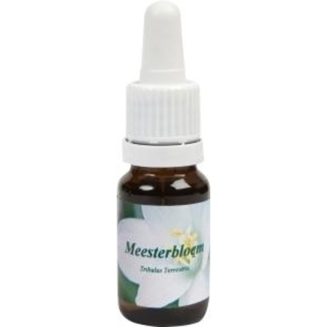 Star Remedies Meesterbloem 10 ml