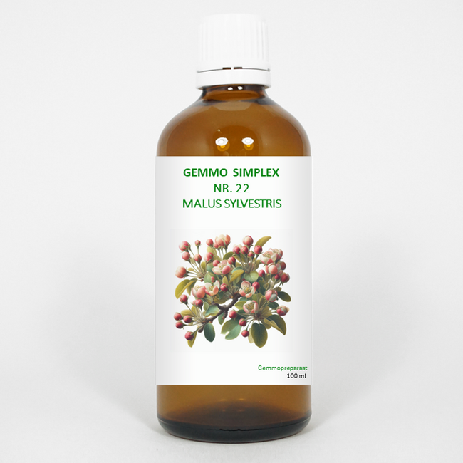 Balancepharma Gemmo simplex 22 Malus sylvestris 100 Mililitrów