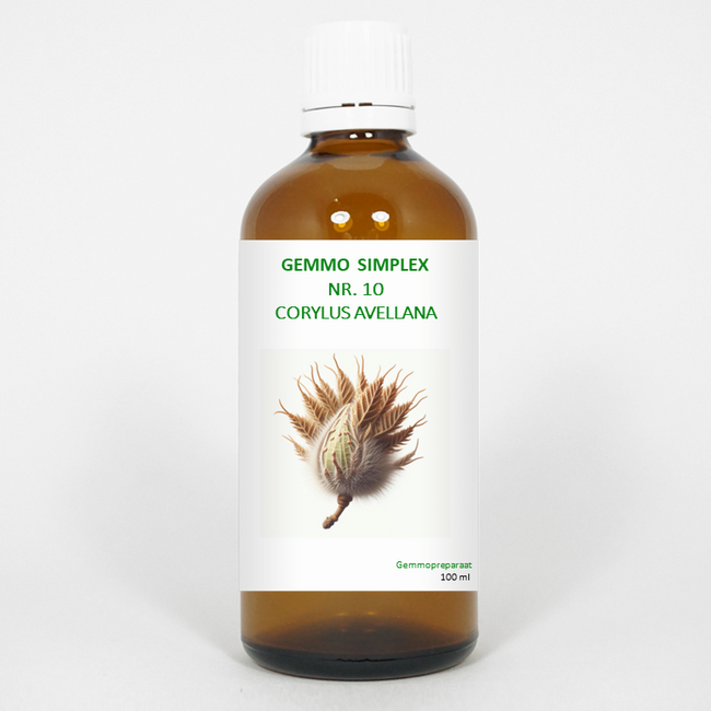 Balancepharma Gemmo simplex 10 corylus avellana 100 Millilitres