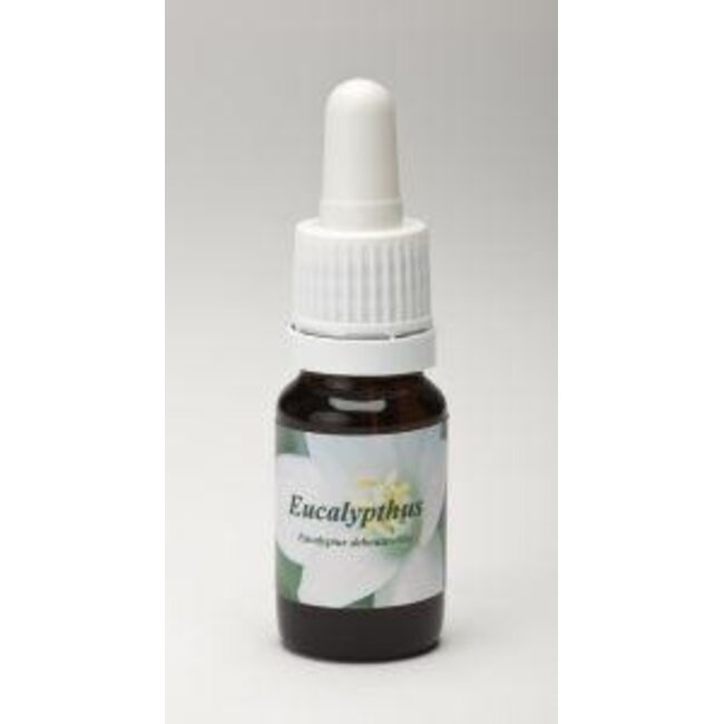 Star Remedies Eucalipto 10 Millilitri