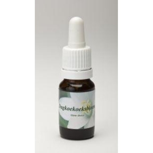 Star Remedies Compagnon Rouge 10 ml