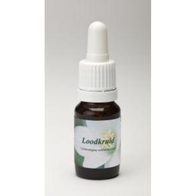 Star Remedies Bleiwurz 10 Milliliter