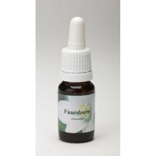 Star Remedies Espino de Fuego 10 Mililitros