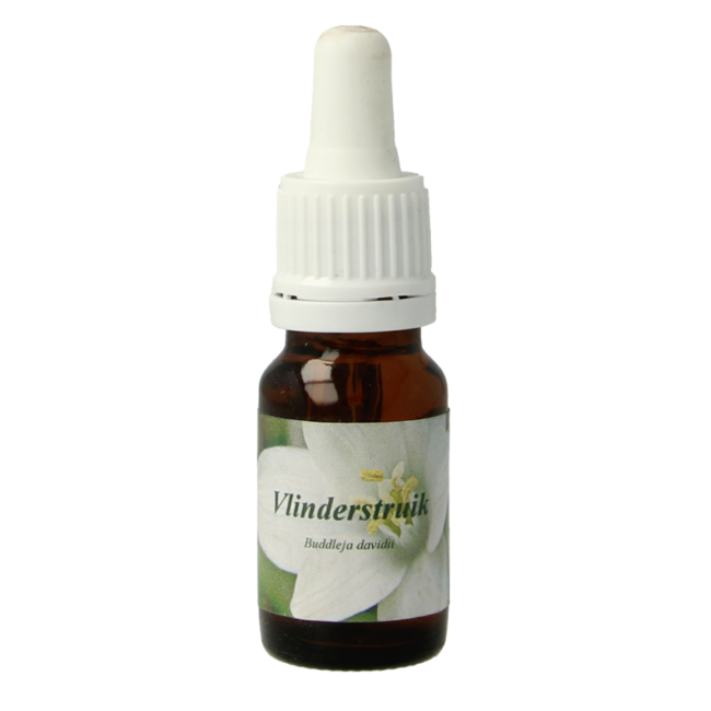 Star Remedies Buddleia 10ml