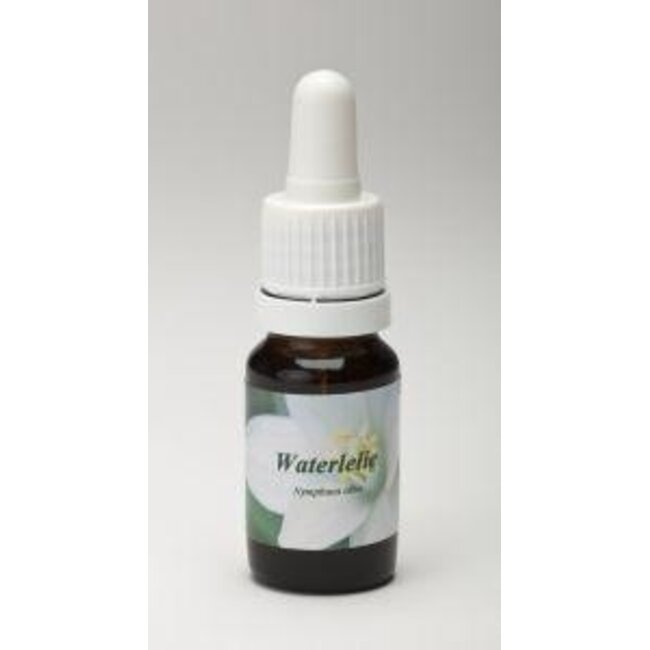 Star Remedies Nénuphar 10 ml