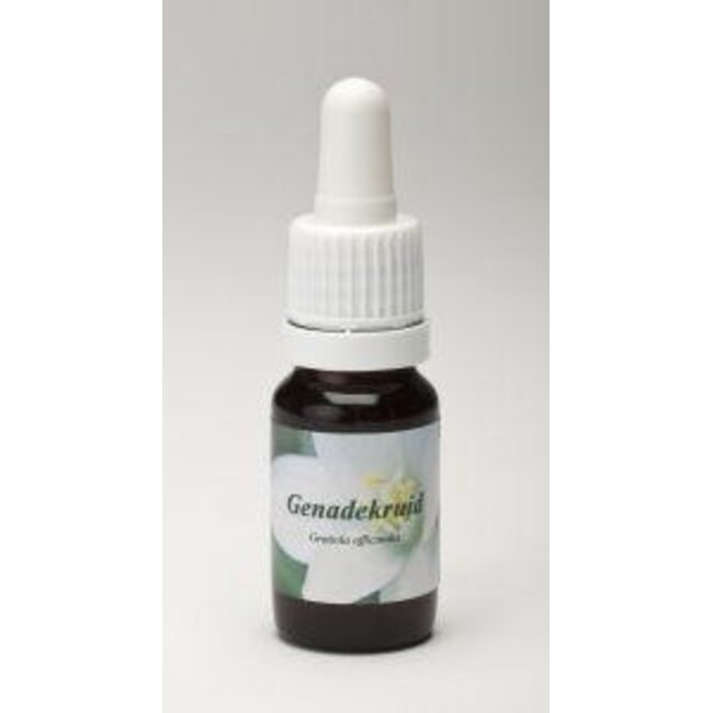 Star Remedies Hedge Hyssop 10 Millilitres