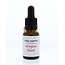 Indigo Essences Dragon's Blood 15ml
