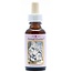 Animal Essences Snow leopard (sneeuwluipaard) 30 Milliliter
