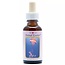 Animal Essences Jellyfish (Medusa) 30 ml