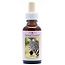 Animal Essences Zebra 30 Millilitres