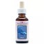 Animal Essences Whale (Ballena) 30 ml