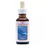 Animal Essences Whale (Wal) 30 Milliliter