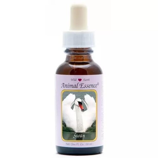 Essenza Animale Cigno (Swan) 30 Millilitri