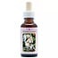 Animal Essences Ardilla (Squirrel) 30 ml