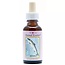 Animal Essences Salmon (Lachs) 30 Milliliter