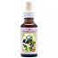 Animal Essences Salamander 30 mililitros