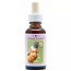 Animal Essences Robin (Rotkehlchen) 30 Milliliter