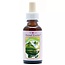 Animal Essences Frog (kikker) 30 Milliliter