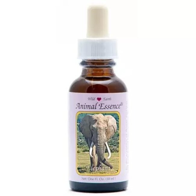 Animal Essences Elefante 30 ml
