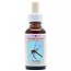 Animal Essences Dragonfly (Libelle) 30 Millilitres