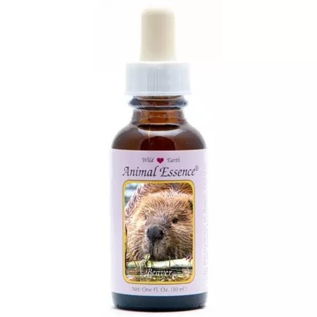 Animal Essences Castor (Beaver) 30 ml