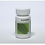 Ayurveda Health Gluconorm 400mg 60 Compresse
