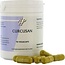 Holisan Curcusan Ayurveda 90 vegetarische Kapseln