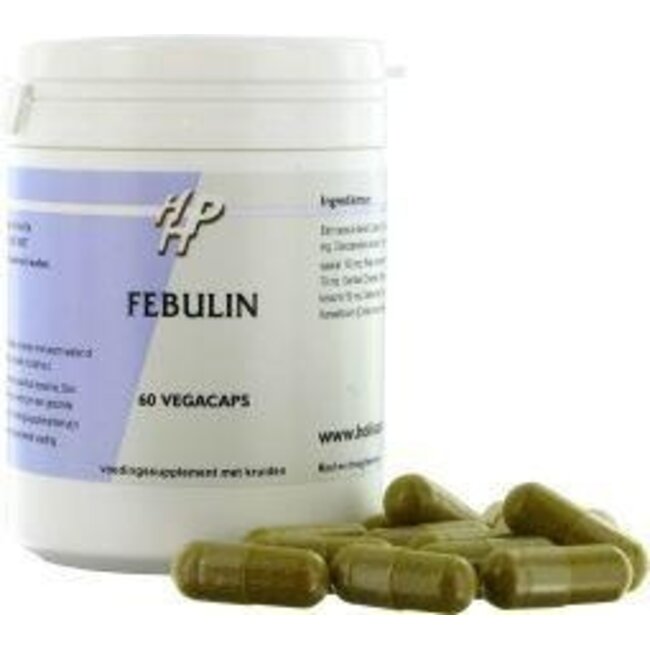 Holisan Febulin 60 Kapseln