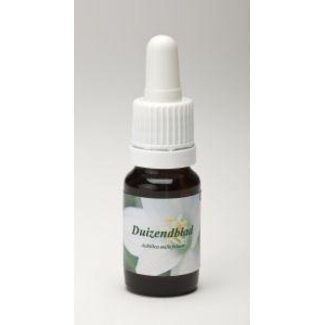 Achillée millefeuille blanche 10 ml