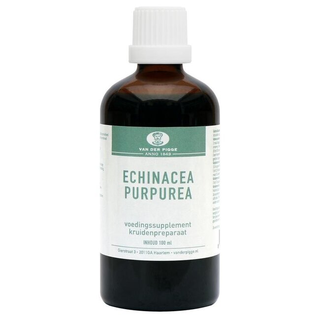 van der Pigge Echinacea purpurea 100 Milliliter