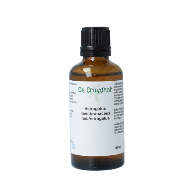 Nalewka z korzenia Astragalus membranaceus Cruydhof 50 mililitrów