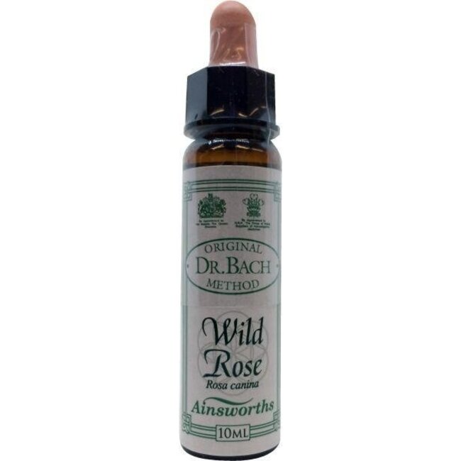 Ainsworths Wild Rose Bach 10 Milliliter