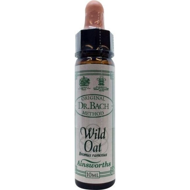 Ainsworths Wild Oat Bachblüte 10 Milliliter