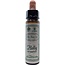 Ainsworths Holly Fleurs de Bach 10 ml