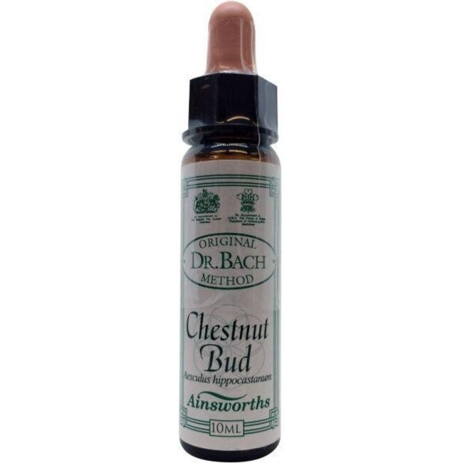 Ainsworths Chestnut Bud Fleurs de Bach 10 ml